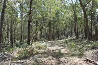 Sixth view of Homely rural property listing, Lot 2 Back Creek Road, Braidwood NSW 2622