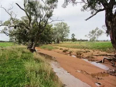 Fifth view of Homely rural property listing, Irisvale Burthong Road, Nymagee, Cobar NSW 2835