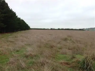 Fifth view of Homely rural property listing, 0 Quirks Lane, Chintin VIC 3756