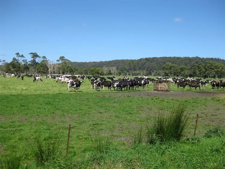 Third view of Homely rural property listing, 325 Rennison Road, Togari TAS 7330