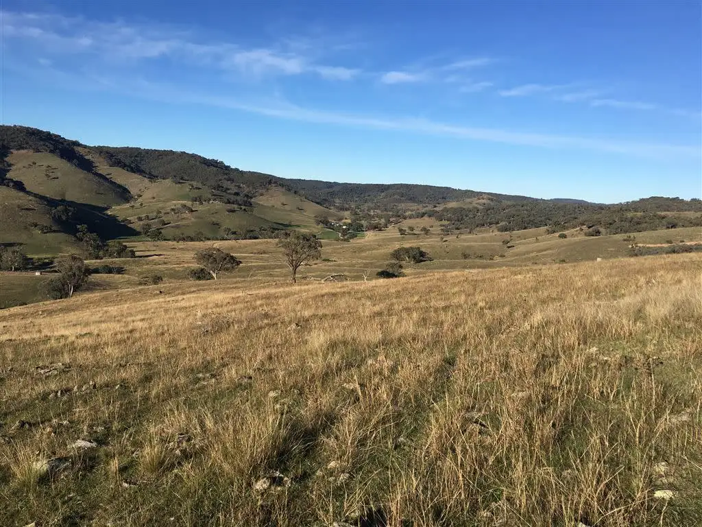 Main view of Homely rural property listing, L95/1191 Campbells Creek Rd, Mudgee NSW 2850