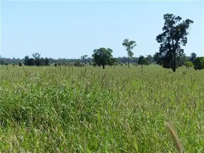Fifth view of Homely rural property listing, . Seventeen Mile, Roma QLD 4455