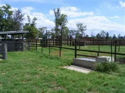 Fourth view of Homely rural property listing, 1337 Burncluth Hall Road, Burncluith QLD 4413