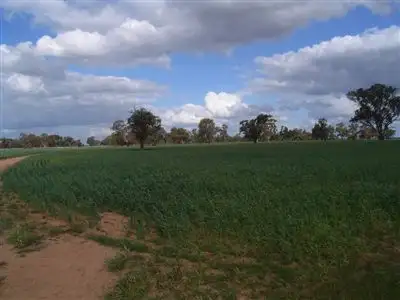 Second view of Homely rural property listing, 11 Tantonan Road, Moama NSW 2731