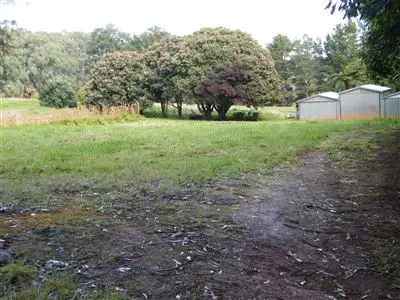 Second view of Homely rural property listing, 870 Gembrook-Launching Place Road, Hoddles Creek VIC 3139