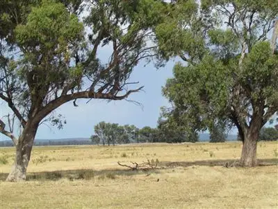 Fifth view of Homely rural property listing, Address available on request