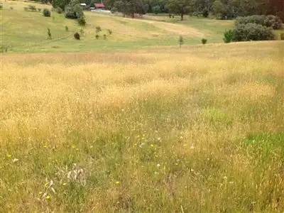 Main view of Homely land listing, 24 Alford Avenue, Eildon VIC 3713