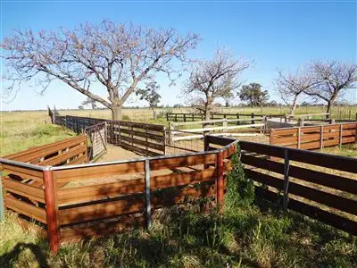 Second view of Homely rural property listing, . Morotai, Deniliquin NSW 2710