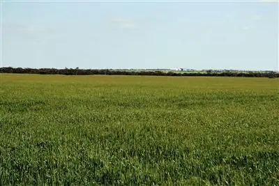 Third view of Homely rural property listing, 272 Pit West Road, Paskeville SA 5552