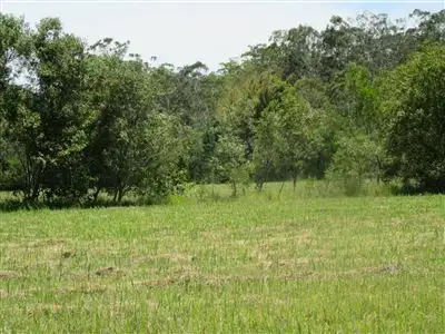 Seventh view of Homely rural property listing, 1 Fig Tree Lane, North Arm QLD 4561