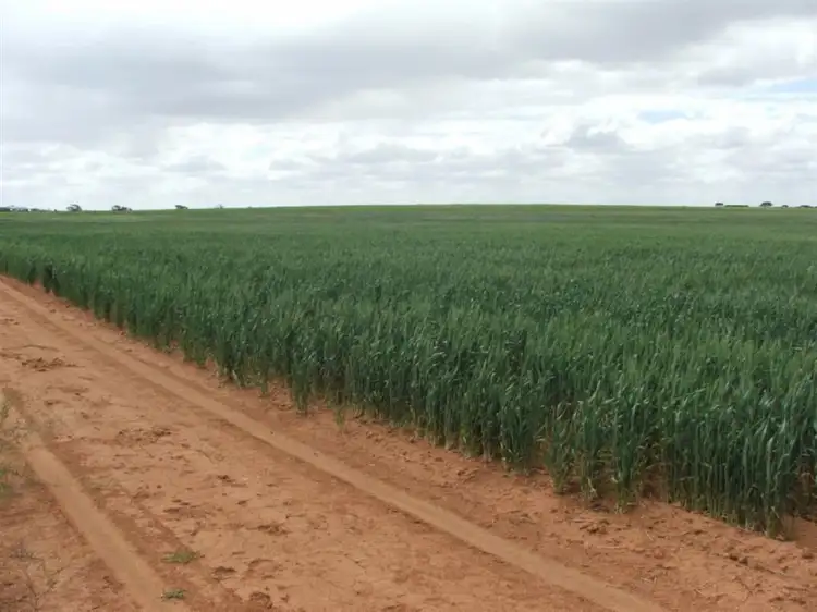 Second view of Homely rural property listing, . Meridian Road, Merrinee, Carwarp VIC 3494