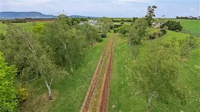 Main view of Homely rural property listing, 118 Armstrongs Lane, Bishopsbourne TAS 7301