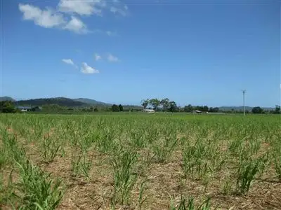 Main view of Homely rural property listing, Address available on request