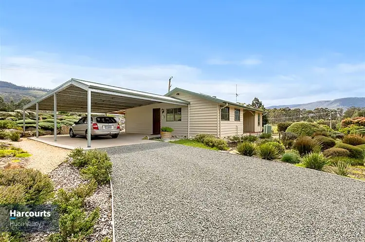 166 Lonnavale Road, Judbury TAS 7109