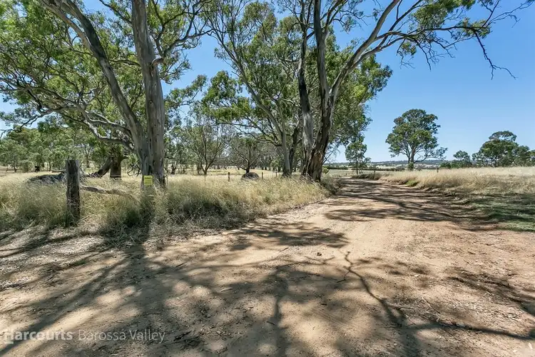 Second view of Homely rural property listing, Lot 537 Murray Road, Keyneton SA 5353