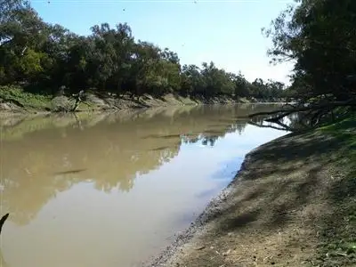 Fifth view of Homely rural property listing, . Rivergum Farm, Bourke NSW 2840