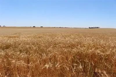 Fifth view of Homely rural property listing, . Yetman Lane, Ouyen VIC 3490