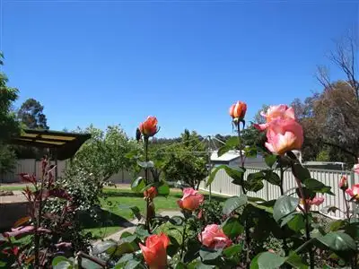 Seventh view of Homely house listing, 1 Nix Street, Boyup Brook WA 6244