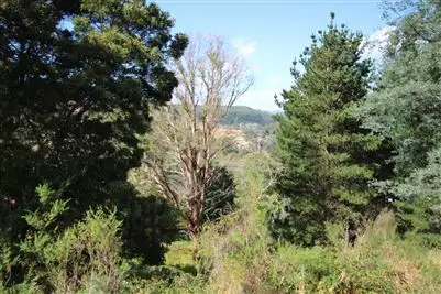 Fourth view of Homely land listing, 8 Mulhern Street, Derby TAS 7264