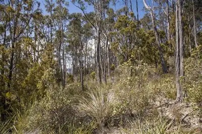 Third view of Homely land listing, RA Kings Hill Road, Cygnet TAS 7112