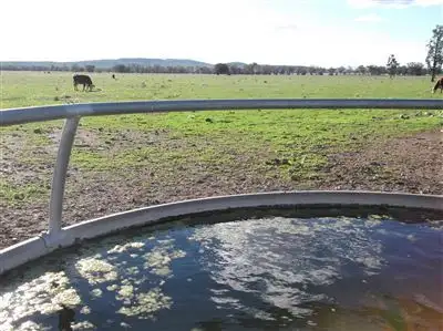 Sixth view of Homely rural property listing, Address available on request