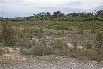 Fourth view of Homely land listing, 565 McClelland Drive, Langwarrin VIC 3910