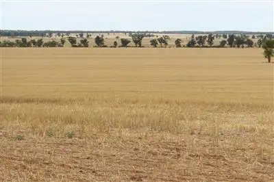 Seventh view of Homely rural property listing, . "MEDINA", TULLIBIGEAL, West Wyalong NSW 2671