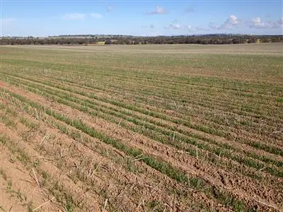 Second view of Homely rural property listing, Address available on request