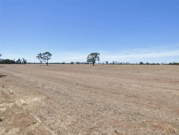 Seventh view of Homely rural property listing, 137 Glenlee Reserve Road, Glenlee, Nhill VIC 3418
