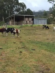 Fifth view of Homely rural property listing, Lot 1 Albert River Road, Staceys Bridge VIC 3971