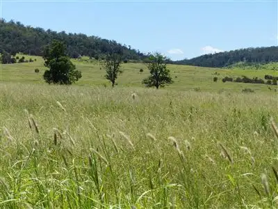 Fifth view of Homely rural property listing, . "Robinson Paddock", Taroom QLD 4420
