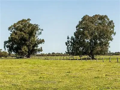 Sixth view of Homely land listing, Lot 20 Coles Road, Waroona WA 6215
