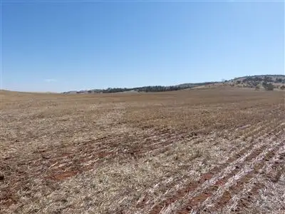 Seventh view of Homely rural property listing, Sect 145 Tarcowie Peterborough Road & Briars Road, Tarcowie SA 5431