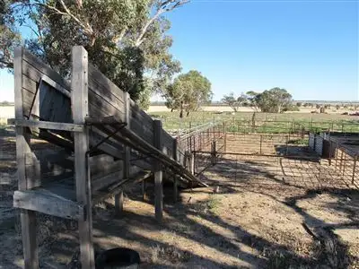 Main view of Homely rural property listing, 927 Solomon Road, Quairading WA 6383