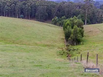 Second view of Homely rural property listing, 10 Clarke and Barr Road, Jindivick VIC 3818