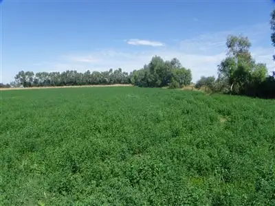 Second view of Homely rural property listing, Address available on request