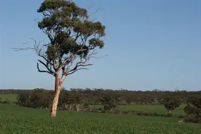 Third view of Homely rural property listing, Address available on request