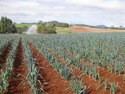 Fifth view of Homely rural property listing, 426 Preston Road, North Motton TAS 7315