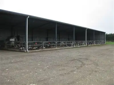 Sixth view of Homely rural property listing, 1621 Montagu Road, Montagu TAS 7330