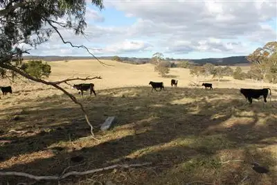 Third view of Homely rural property listing, 278 Willow Forest Road, Nerriga NSW 2622