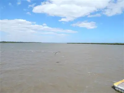 Third view of Homely house listing, 10 Heron Close, Blind Bight VIC