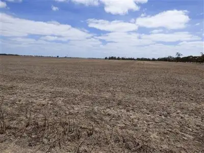 Main view of Homely rural property listing, 81 Chandlers Road, Netherby via, Nhill VIC 3418