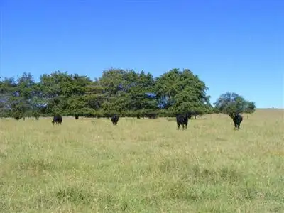 Fifth view of Homely rural property listing, "Bardney"/.124 Deyrah Rd, Glen Innes NSW 2370