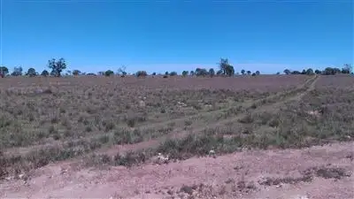 Fourth view of Homely rural property listing, Section 110 Skurray, Blanchetown SA 5357
