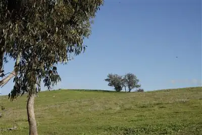 Third view of Homely rural property listing, 83 Mylora Street, Binalong NSW 2584