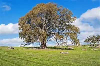 Fifth view of Homely rural property listing, Address available on request