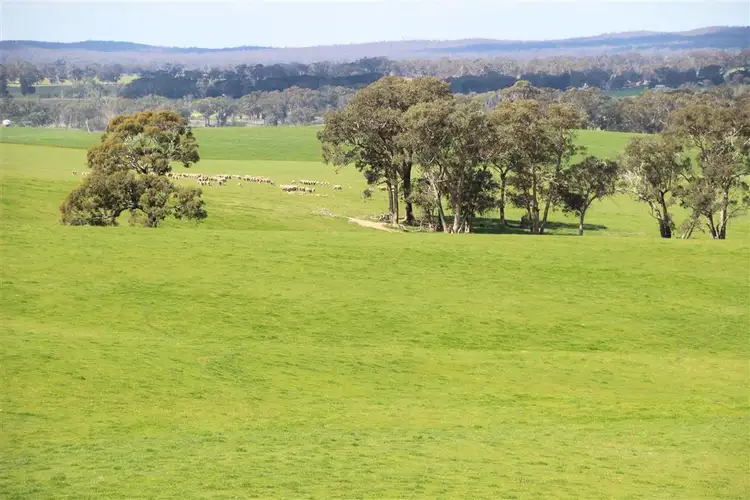 Fourth view of Homely rural property listing, . Greenhill Creek Road, Lexton VIC 3352