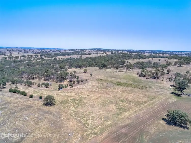 Sixth view of Homely rural property listing, Lot 537 Murray Road, Keyneton SA 5353