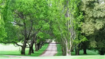 Fifth view of Homely rural property listing, 643 Glen Esk Road, Conara TAS 7211