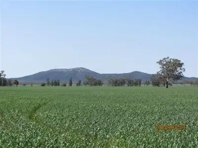 * Currawalla, Condobolin NSW 2877